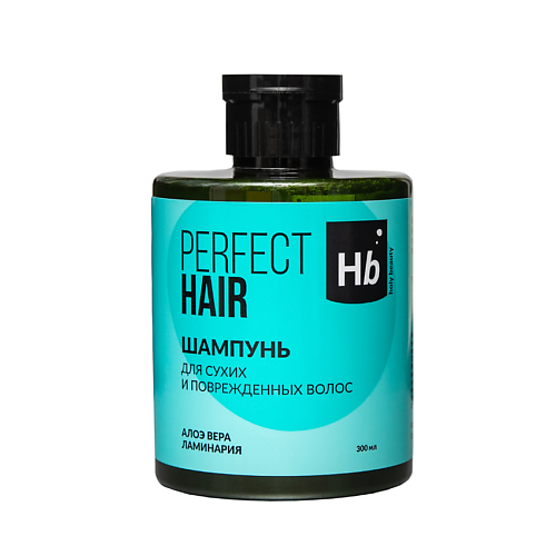 HOLY BEAUTY Шампунь для сухих и повреждённых волос PERFECT HAIR 300 шампунь против перхоти для сухих волос peeling shampoo dandruff dry hair 43713 1000 мл