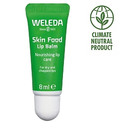 Питательный бальзам для губ Skin Food