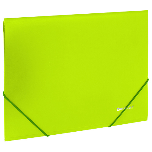 BRAUBERG Папка на резинках Neon папка 2кольца neon желтая лам картон erich krause
