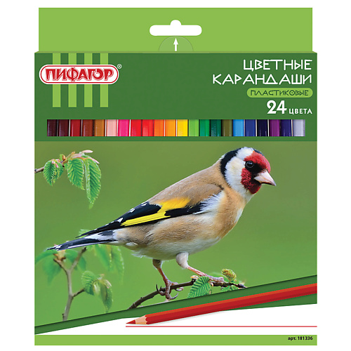 ПИФАГОР Карандаши цветные ЛЕСНЫЕ ЖИТЕЛИ животный мир лесные птицы 72 карточки для игры мемори и викторины