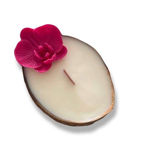 Свеча CANDLE ZEN Свеча ароматическая в кокосе с ароматом Морская соль и орхидея