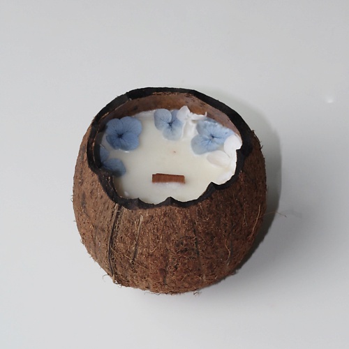CANDLE ZEN Свеча ароматическая в кокосе с ароматом Чёрное море 250.0 MPL317193