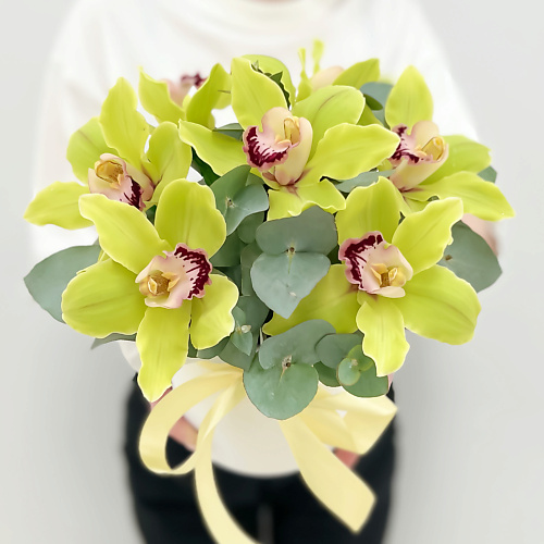 Букет живых цветов ЛЭТУАЛЬ FLOWERS Орхидеи с эвкалиптом в коробке С любовью / букет из орхидей / букет цветов