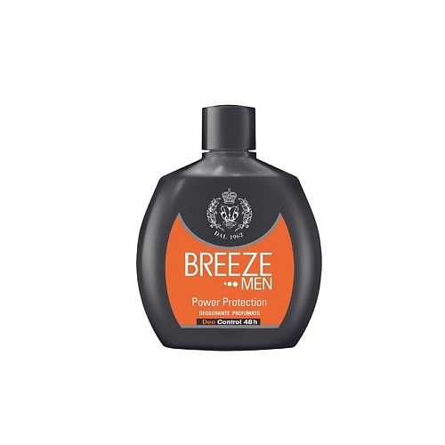Дезодорант-спрей BREEZE Парфюмированный дезодорант Power Protection