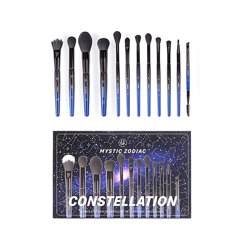 BH COSMETICS Набор кистей с косметичкой Constellation vichy набор из двух шампуней против перхоти для сухих волос dercos