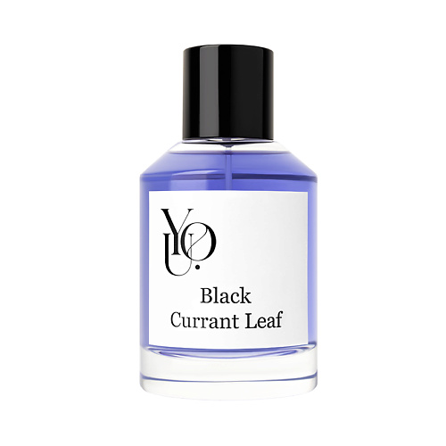 Парфюмерная вода YOU Black Currant Leaf женская парфюмерия you black currant leaf