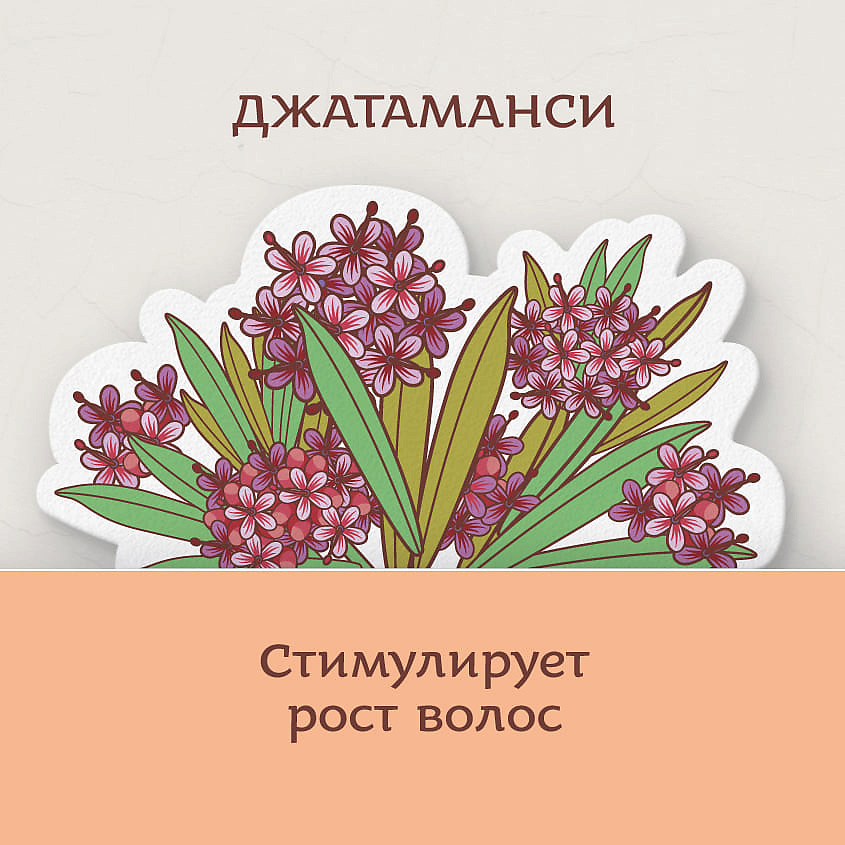 Джатаманси