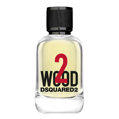 DSQUARED2 2WOOD 100