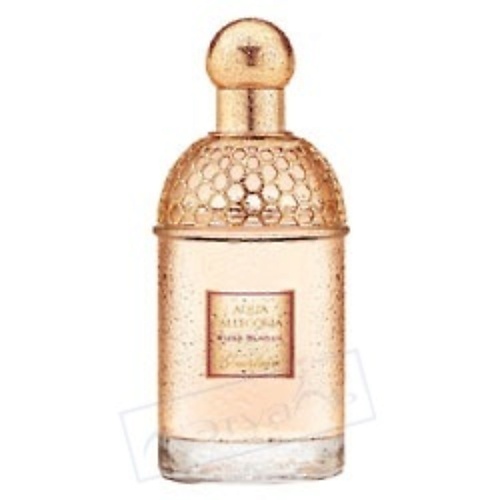 GUERLAIN Aqua Allegoria Rosa Blanca guerlain aqua allegoria tiare mimosa