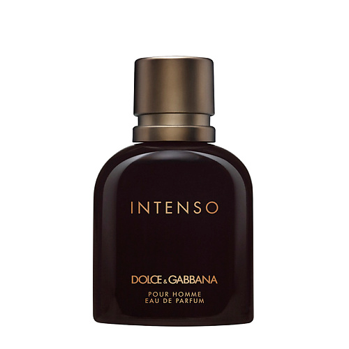 цена Парфюмерная вода DOLCE&GABBANA Pour Homme Intenso