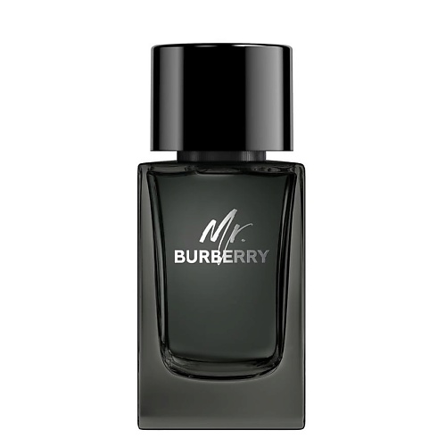 Парфюмерная вода BURBERRY Mr. Burberry Eau de Parfum цена и фото