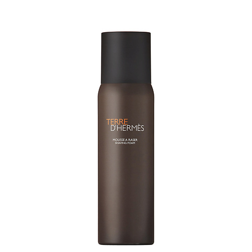 Мужская парфюмерия HERMÈS Terre d'Hermès Shaving foam