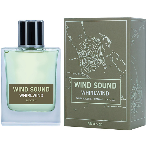 Туалетная вода BROCARD Wind Sound WHIRLWIND мужская туалетная вода brocard wind sound sandstorm 100 мл