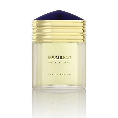 BOUCHERON Pour Homme Eau de Parfum 100