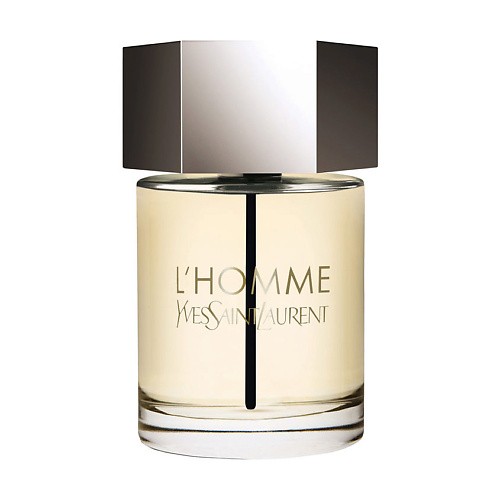 YVES SAINT LAURENT YSL L'Homme 100 yves saint laurent ysl la nuit de l homme 40