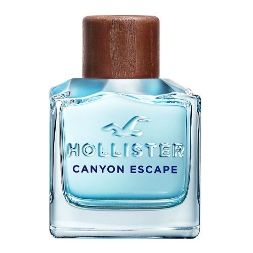 HOLLISTER Canyon Escape for Him 100 hollister wave x for her 100