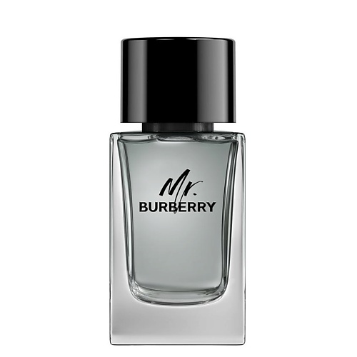 BURBERRY Mr. Burberry 100