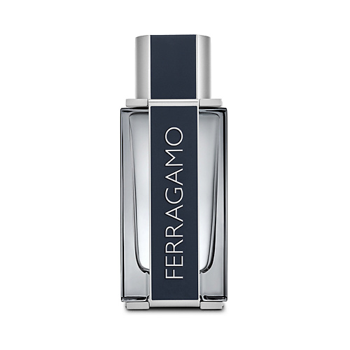 Мужская парфюмерия SALVATORE FERRAGAMO Ferragamo 100