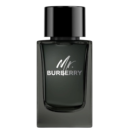 Парфюмерная вода BURBERRY Mr. Burberry Eau de Parfum burberry my burberry black for women eau de parfum 90ml