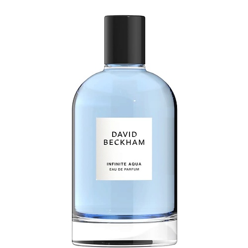 DAVID BECKHAM Collection Infinite Aqua 100 david beckham collection aromatic greens 100