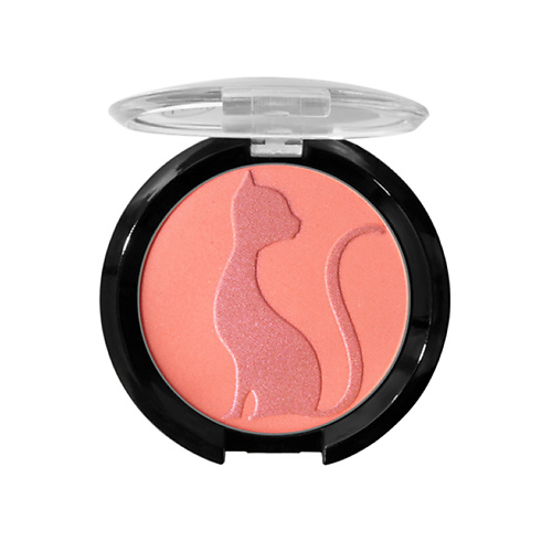 J CAT BEAUTY Румяна для лица LOVE STRUCK 806₽