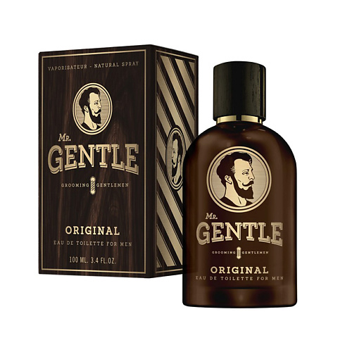 Мужская парфюмерия MR. GENTLE Original 100