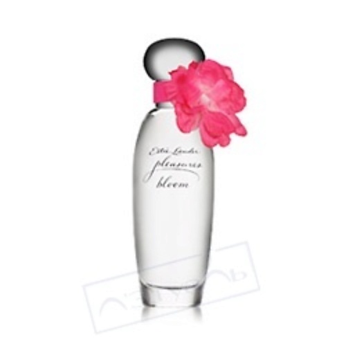 ESTEE LAUDER Pleasures Bloom estee lauder pleasures bloom