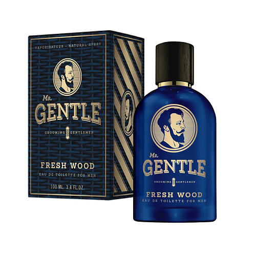 цена Туалетная вода MR. GENTLE Fresh Wood