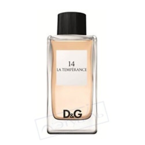 DOLCE&GABBANA D&G № 14 La Temperance 50