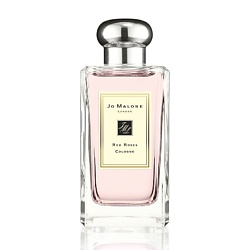 Red Roses Cologne