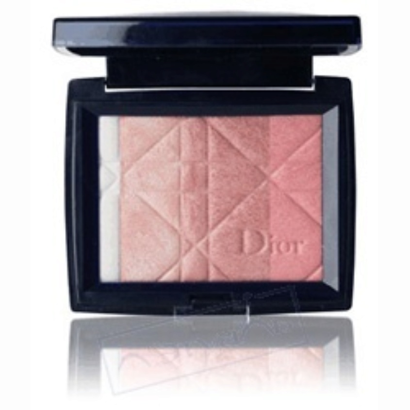 Пудры компактные DIOR Компактная пудра DiorSkin Shimmer – купить в ...