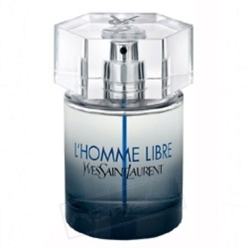 

YVES SAINT LAURENT YSL L'Homme Libre 60, YSL L'Homme Libre
