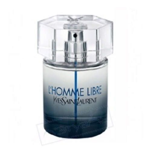 

YVES SAINT LAURENT YSL L'Homme Libre 40, YSL L'Homme Libre