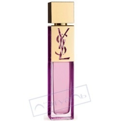 

YVES SAINT LAURENT YSL Elle Shocking 50, YSL Elle Shocking