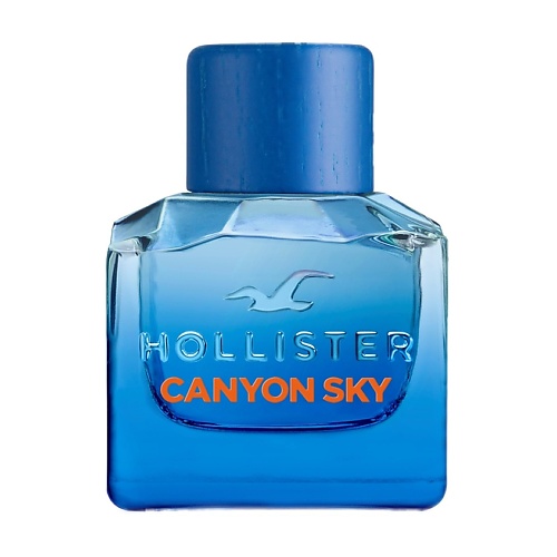 цена Туалетная вода HOLLISTER Canyon Sky For Him