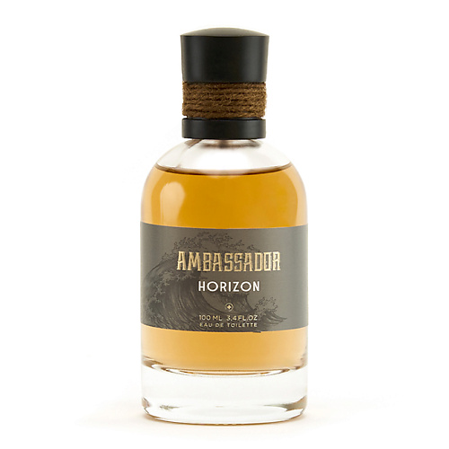 AMBASSADOR Horizon 100 parfums genty ambassador in black sea 100