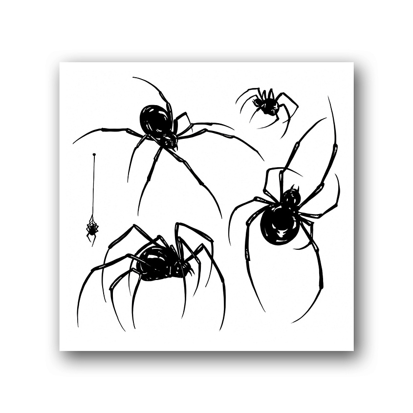 Изображение товара Переводная тату Spiders 10x10см - водостойкая и реалистичная для тела
