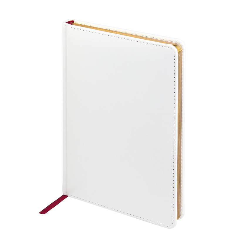 Изображение товара BRUNO VISCONTI Ежедневник недатированный "SIDNEY NEBRASKA", золотой обрез