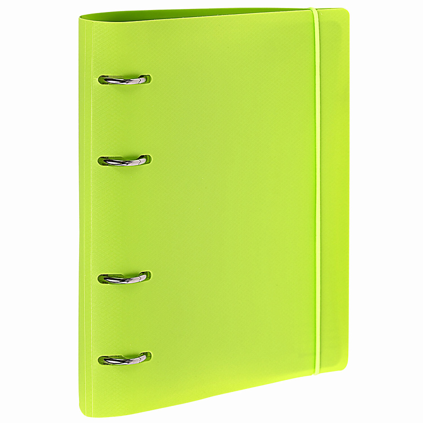 Изображение товара Тетрадь на кольцах BRAUBERG А5 пластиковая зеленая для учебы и работы