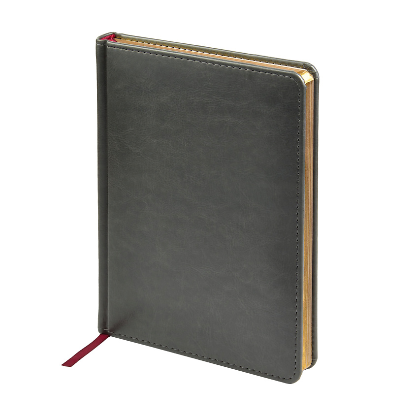 Изображение товара BRUNO VISCONTI Ежедневник недатированный SIDNEY NEBRASKA с золотым срезом