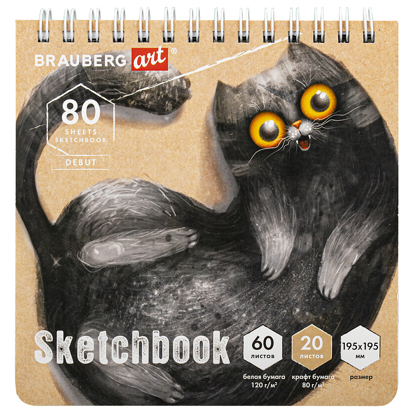Изображение товара Скетчбук BRAUBERG ART DEBUT для эскизов и графики  белистовая и крафт-бумага