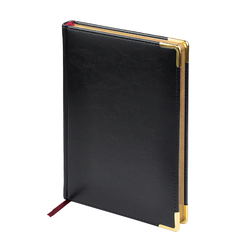 Изображение товара BRUNO VISCONTI Ежедневник недатированный "SIDNEY NEBRASKA", золотые уголки; золотой обрез