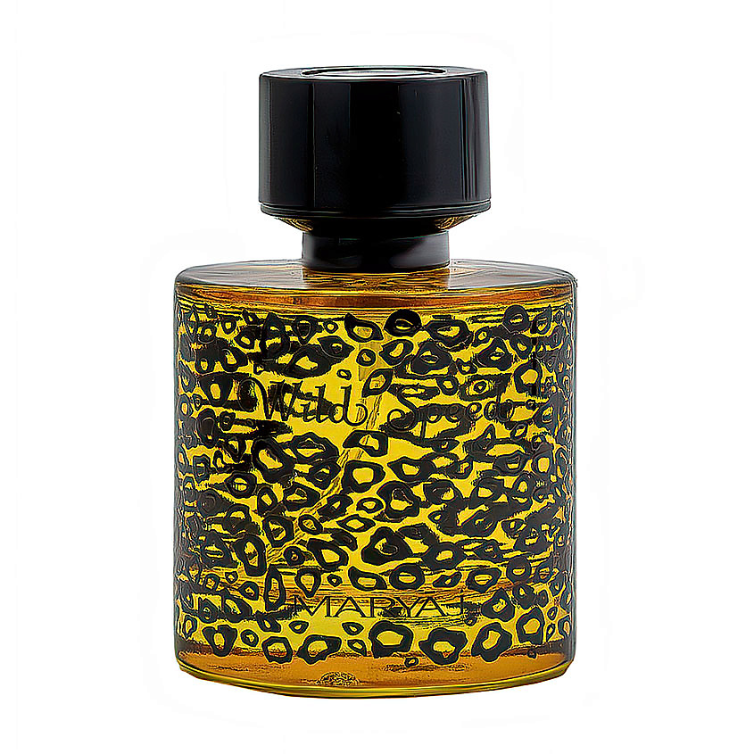 Изображение товара Мужская парфюмерная вода WILD SPEED FOR HIM 100 мл MARYAJ