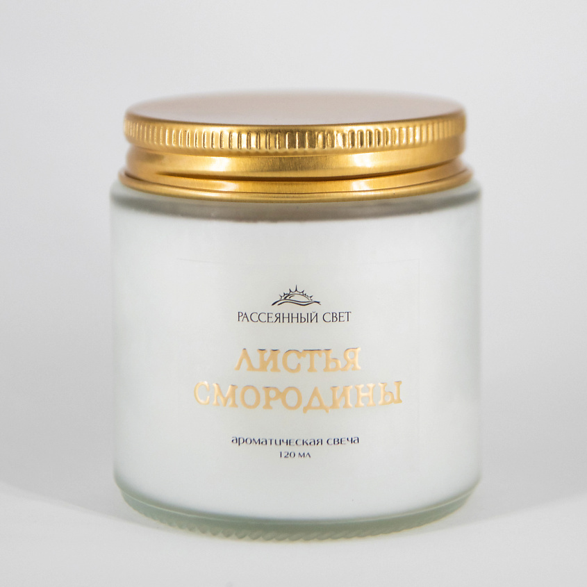 Изображение товара РАССЕЯННЫЙ СВЕТ Ароматическая свеча Листья смородины, 120 мл