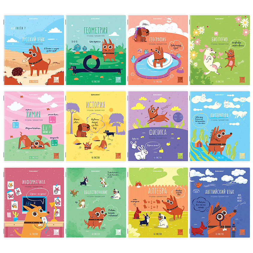 Изображение товара BRAUBERG Тетради предметные комплект DOG, Мультицвет