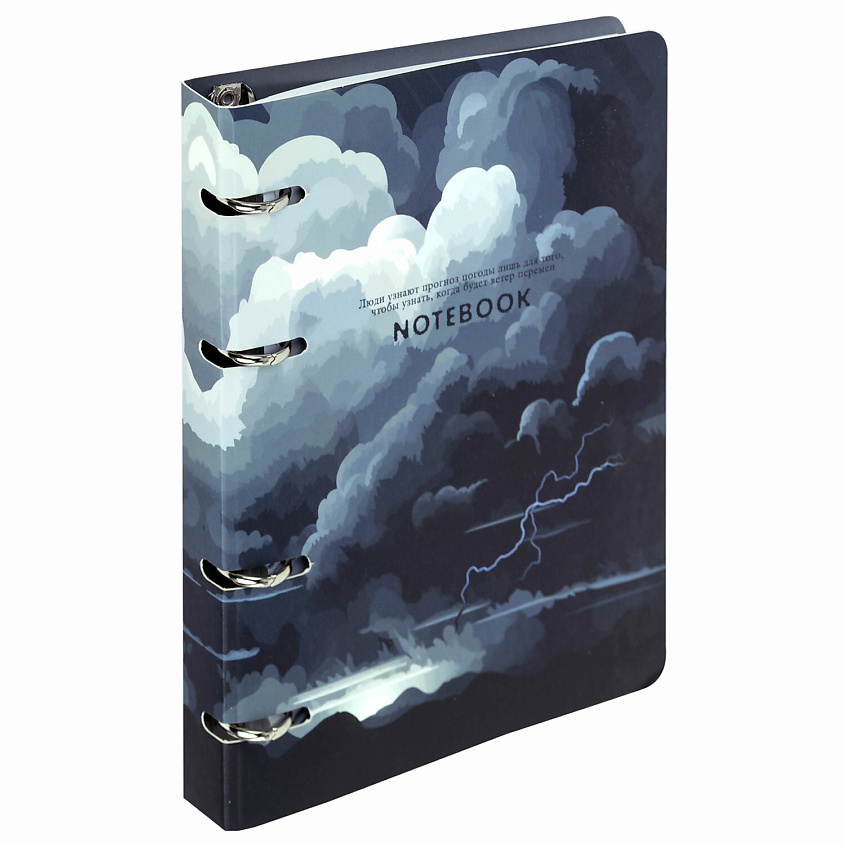 Изображение товара BRAUBERG Тетрадь на кольцах 120 листов мультитематика гибкая обложка