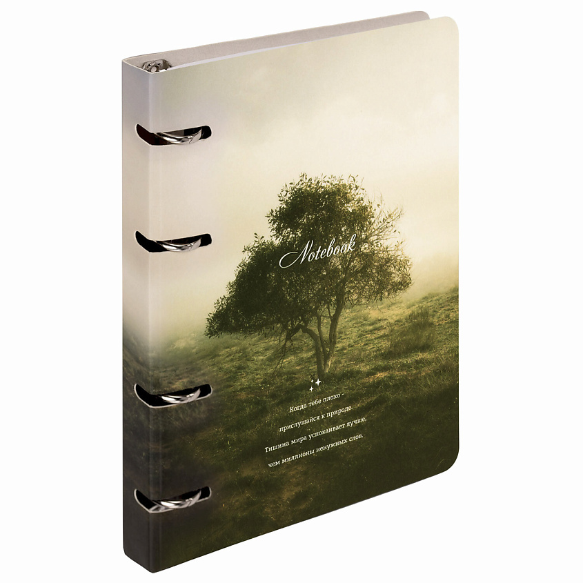 Изображение товара Тетрадь на кольцах BRAUBERG Природа 120 листов мультицвет