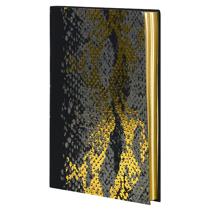 Изображение товара LOREX Ежедневник недатированный DIARPTILE B6, 96 листов, Серый