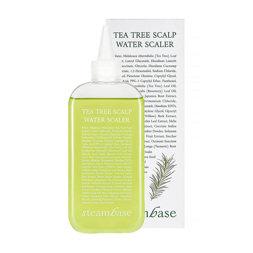 Изображение товара STEAMBASE Шампунь с экстрактом чайного дерева, 250 мл