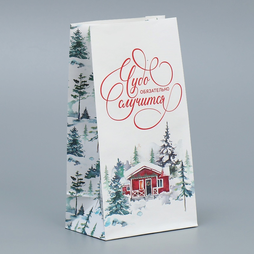Изображение товара ДАРИТЕ СЧАСТЬЕ Пакет без ручек "Чудо обязательно случится", 1 шт